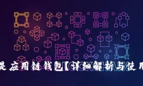 什么是应用链钱包？详细解析与使用指南