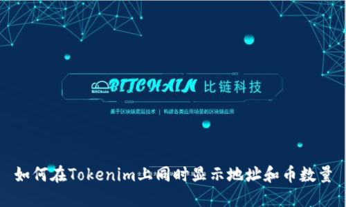 如何在Tokenim上同时显示地址和币数量