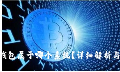 Tokenim钱包属于哪个系统？详细解析与用户指南