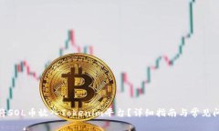 : 如何将SOL币放入Tokenim平