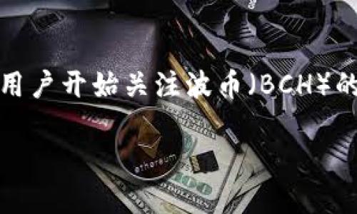 波币充值会被追踪吗，这是一个关于数字货币隐私和安全性的问题。随着虚拟货币的普及，许多用户开始关注波币（BCH）的充值和交易是否会被监控或追踪。本篇文章将会深入探讨这个问题，并提供相关的信息和分析。

波币充值会被追踪吗？揭秘数字货币的隐私与安全